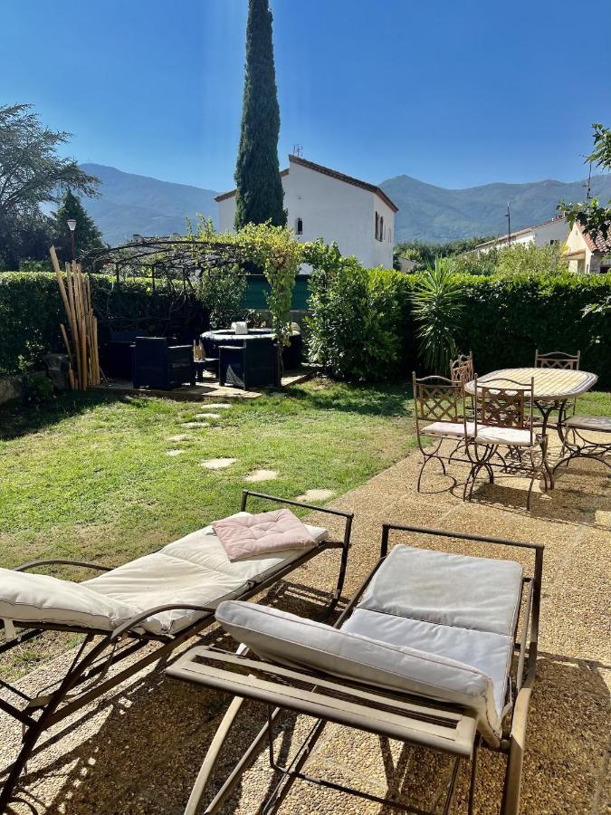 Hébergement de vacances Les Orangers - Catalane Avec Jacuzzi *